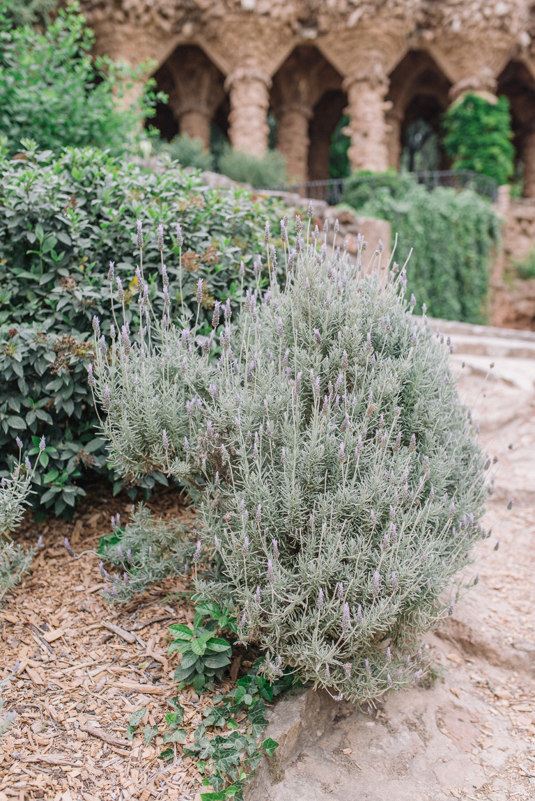 Fotograf_Landshut_Sevi_Koch