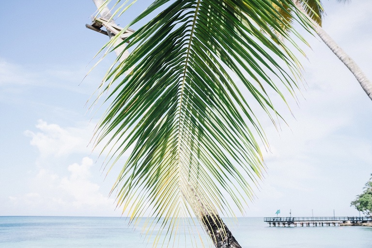 Hochzeitsfotograf Landshut in der Domrep - Sevi Koch 