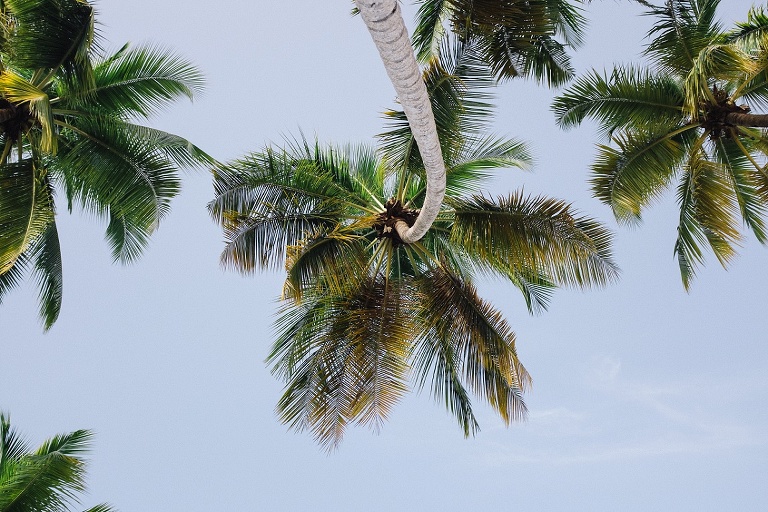 Hochzeitsfotograf Landshut in der Domrep - Sevi Koch 