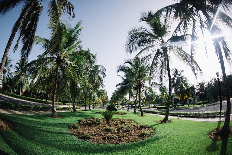 Hochzeitsfotograf Landshut in der Domrep - Sevi Koch 