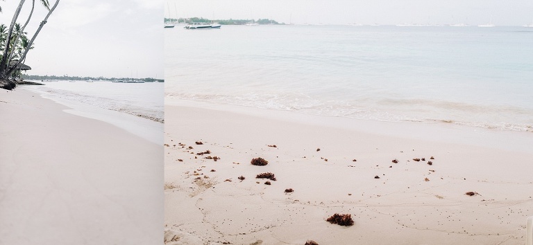 Hochzeitsfotograf Landshut in der Domrep - Sevi Koch 