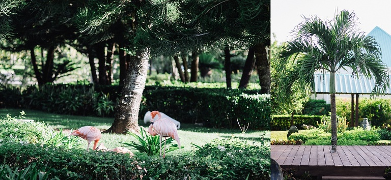 Hochzeitsfotograf Landshut in der Domrep - Sevi Koch 