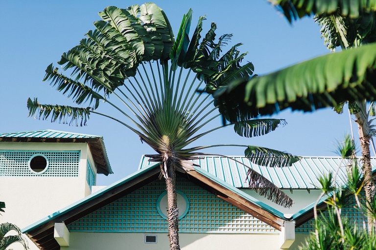 Hochzeitsfotograf Landshut in der Domrep - Sevi Koch 