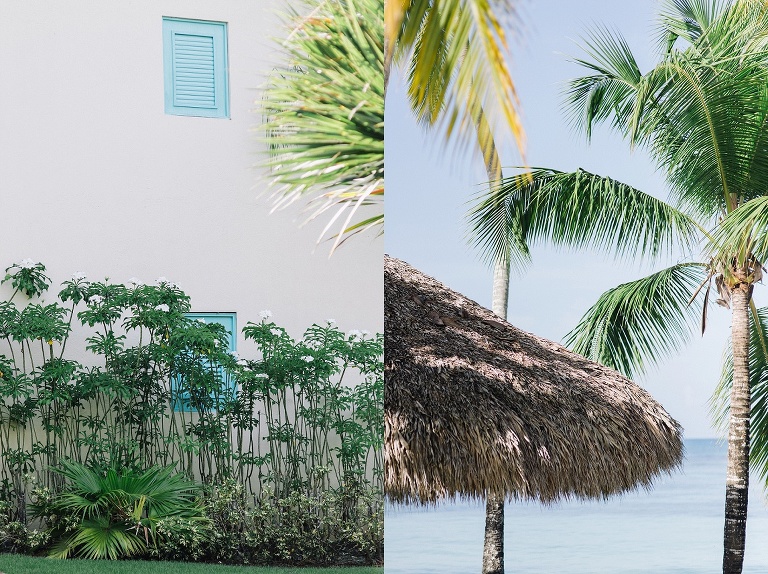 Hochzeitsfotograf Landshut in der Domrep - Sevi Koch 