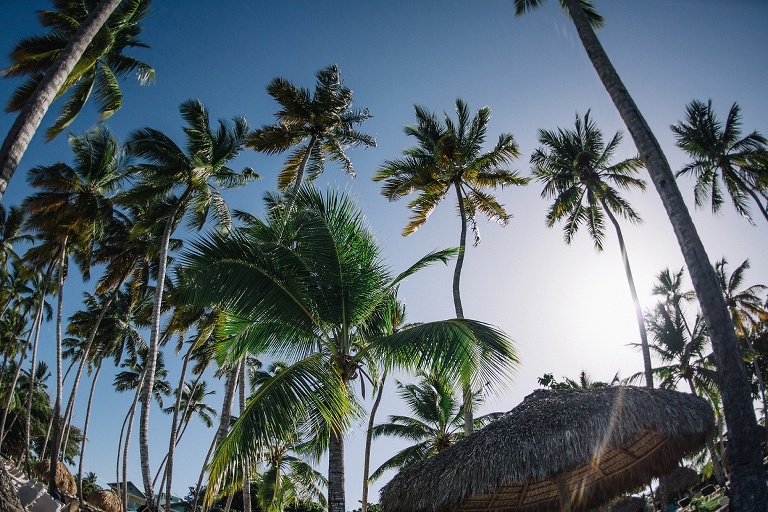 Hochzeitsfotograf Landshut in der Domrep - Sevi Koch 