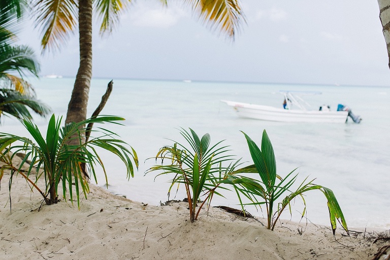 Hochzeitsfotograf Landshut in der Domrep - Sevi Koch 