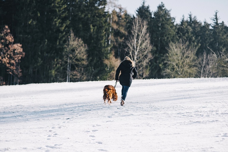 Portraitfotos Landshut