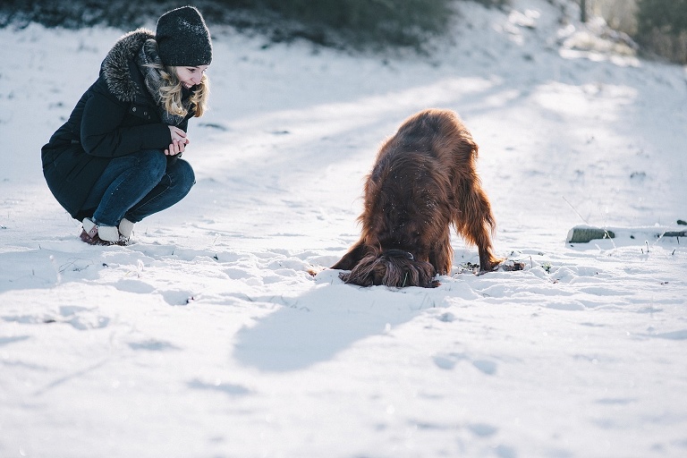 Portraitfotos Landshut