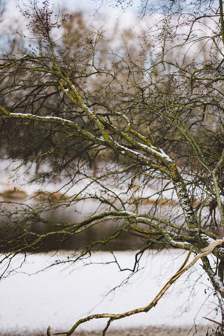 Hochzeitsfotograf Landshut 