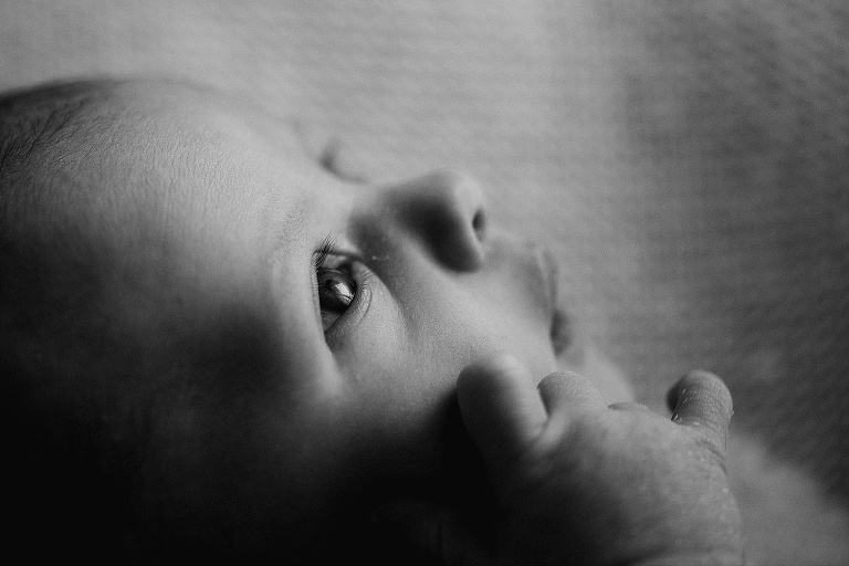 Babybilder Landshut, Familienfotograf Landshut