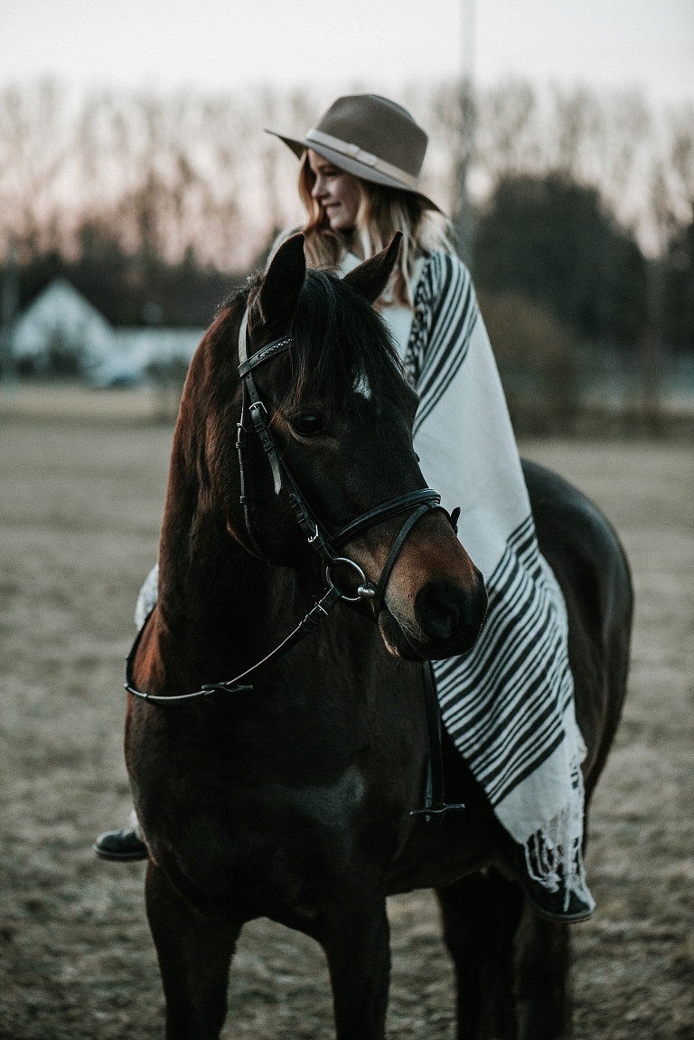 Pferdebilder Landshut Sevi Koch 