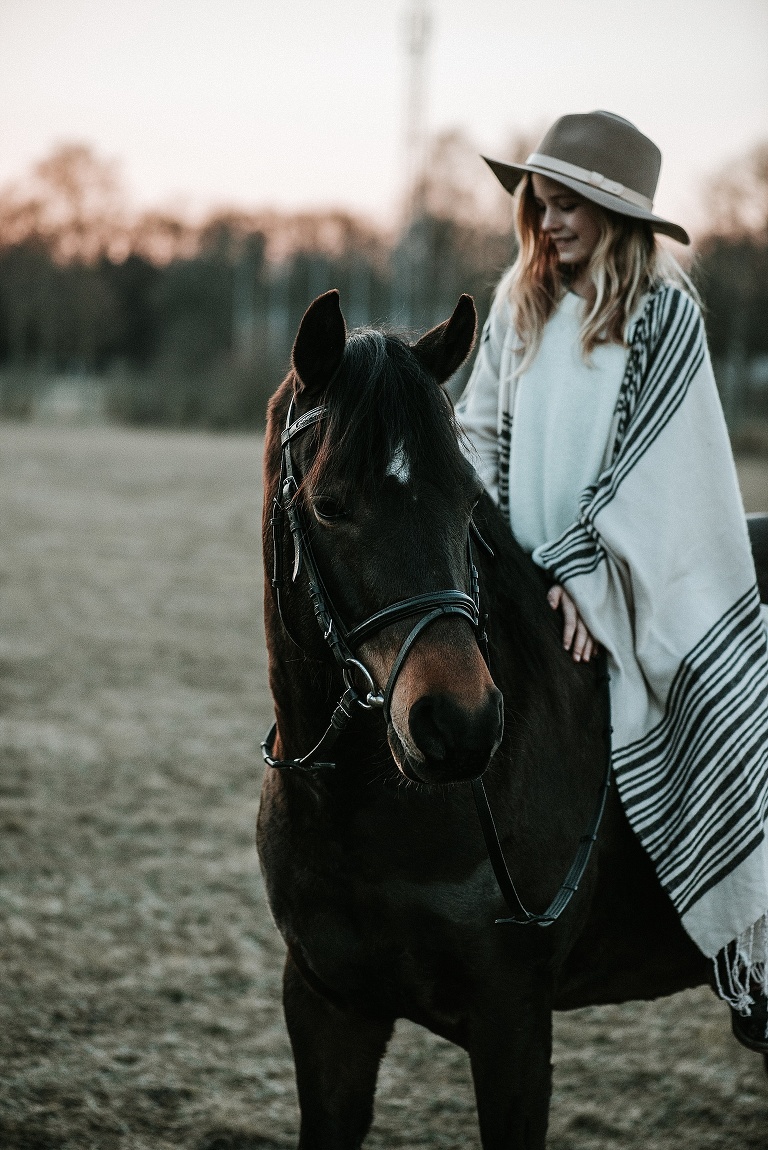 Pferdebilder Landshut Sevi Koch 