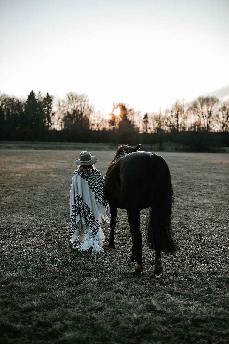 Pferdebilder Landshut Sevi Koch 