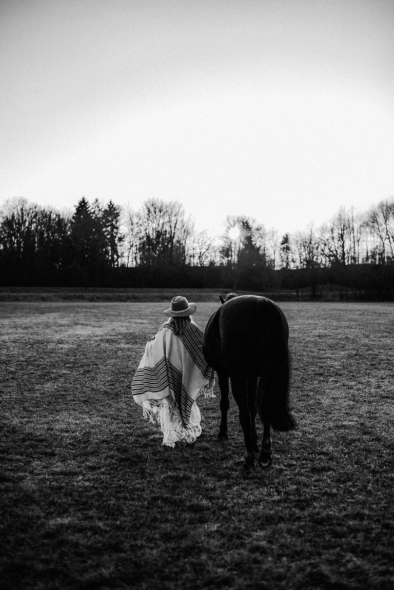Pferdebilder Landshut Sevi Koch 