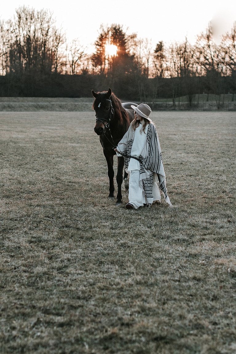 Pferdebilder Landshut Sevi Koch 