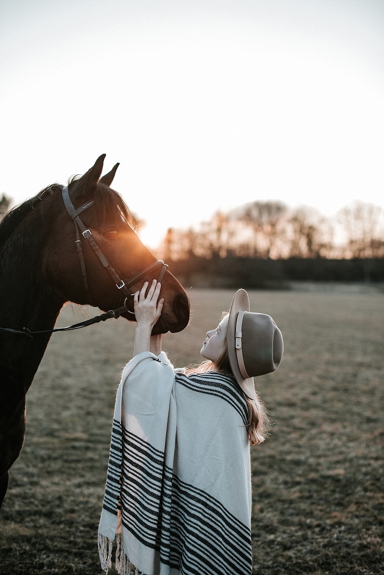 Pferdebilder Landshut Sevi Koch 