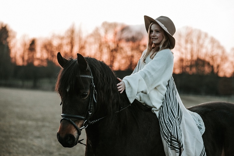 Pferdebilder Landshut Sevi Koch 