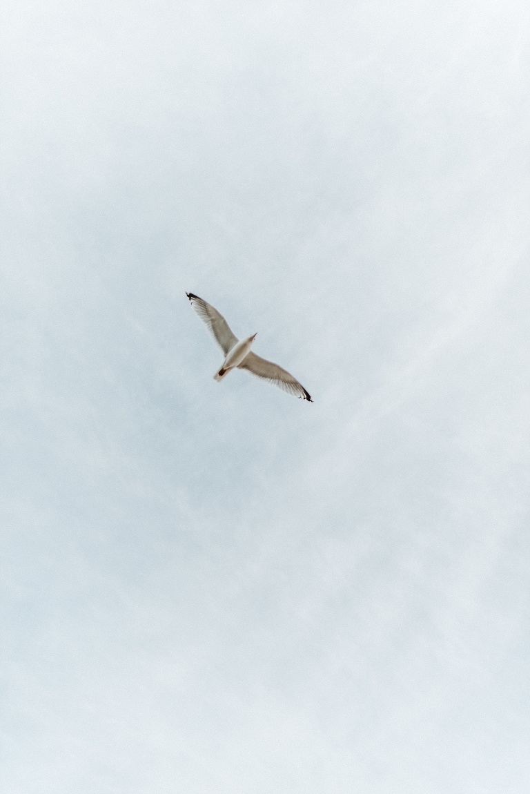Barefoot hotel Sevi Koch Fotograf Niederbayern