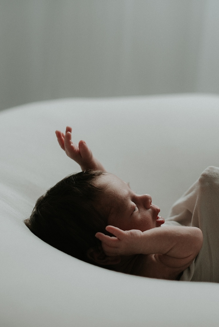 Babybilder Deggendorf, Babyfotos Dingolfing, Sevi Koch 