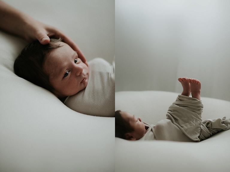 Babybilder Deggendorf, Babyfotos Dingolfing, Sevi Koch 