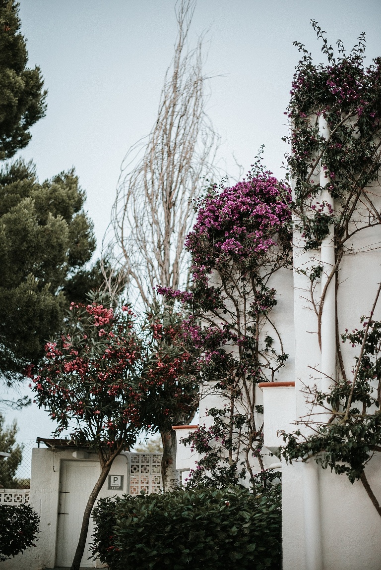 Ibiza Roadtrip 2018 Sevi Koch Fotograf Landshut 