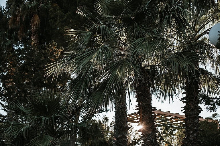 Ibiza Roadtrip 2018 Sevi Koch Fotograf Landshut 