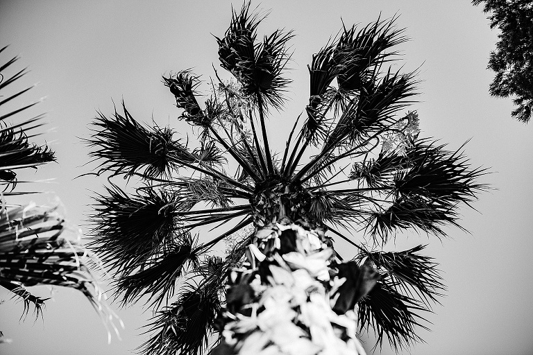 Ibiza Roadtrip 2018 Sevi Koch Fotograf Landshut 