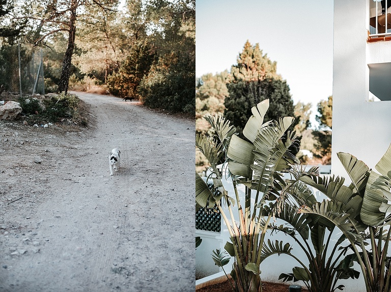 Ibiza Roadtrip 2018 Sevi Koch Fotograf Landshut 