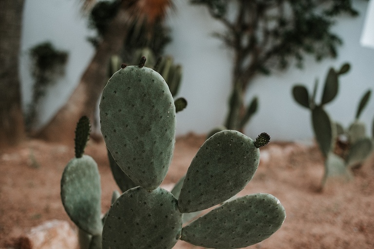 Ibiza Roadtrip 2018 Sevi Koch Fotograf Landshut 