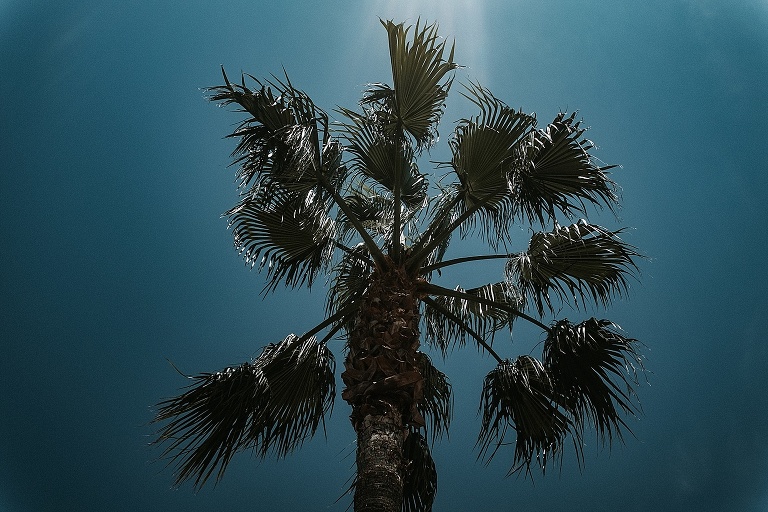 Ibiza Roadtrip 2018 Sevi Koch Fotograf Landshut 