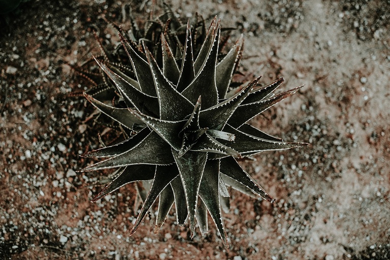 Ibiza Roadtrip 2018 Sevi Koch Fotograf Landshut 