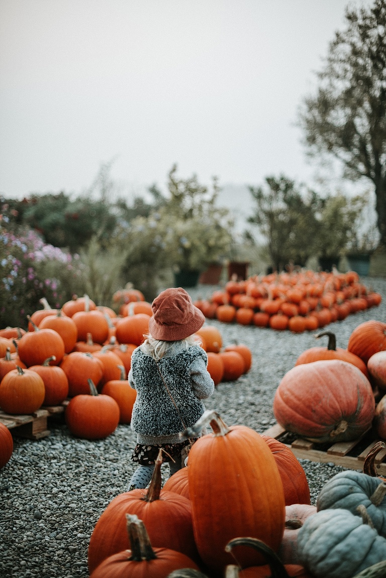Kinderfotograf Landshut Sevi Koch 