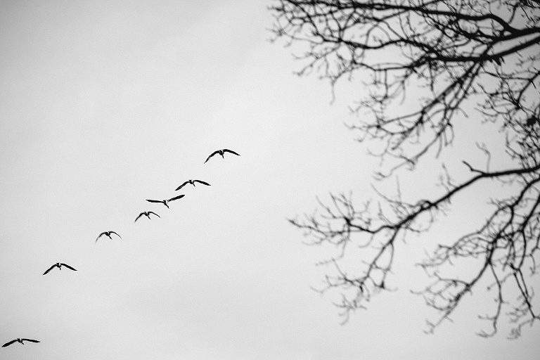 You are enough, Sevi Koch, Corinne Chollet, Patricia vd Boogart