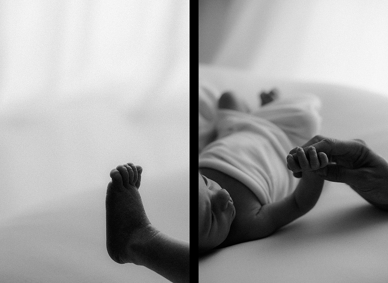 Babybilder mit der ganzen Familie, Sevi Koch, Landshut