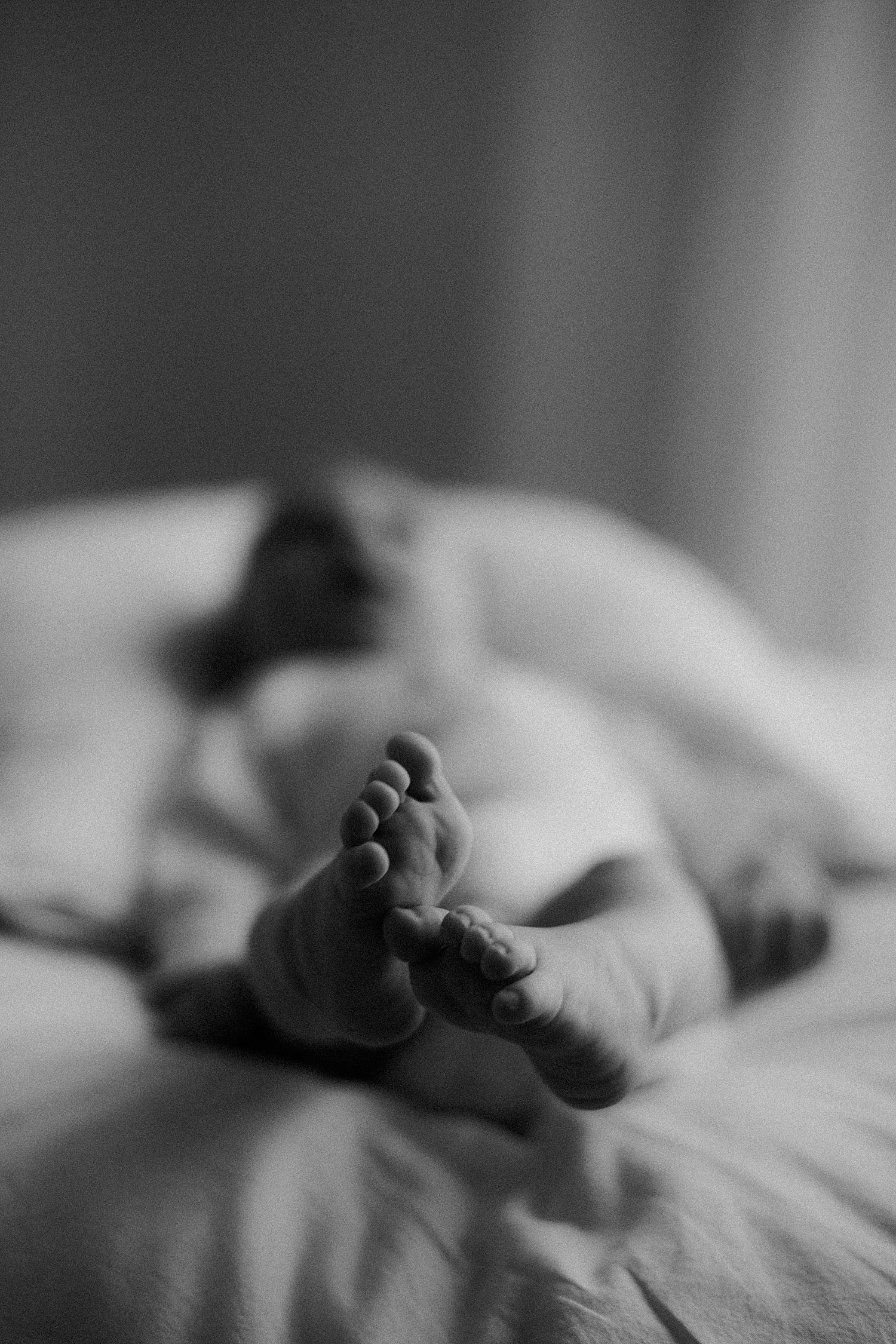 Babyshooting mit 8 Wochen schöne natürliche Babybilder mit Babies