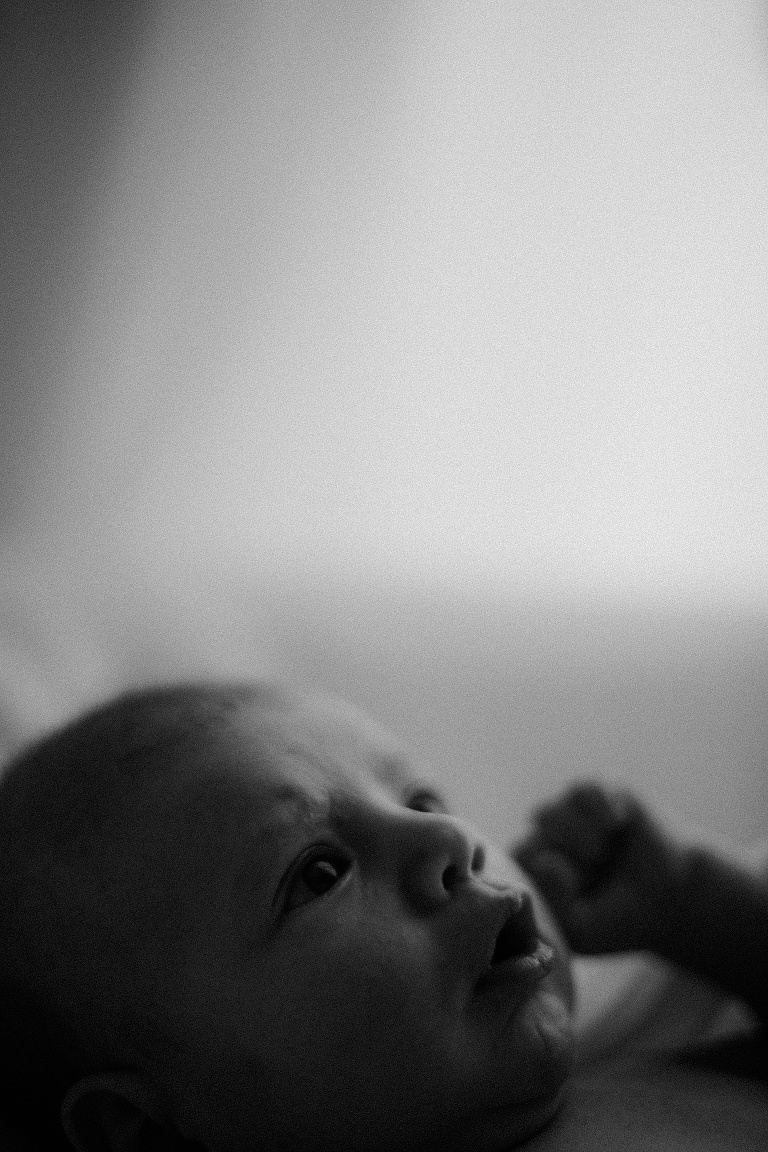 wache_Babybilder_Sevikoch