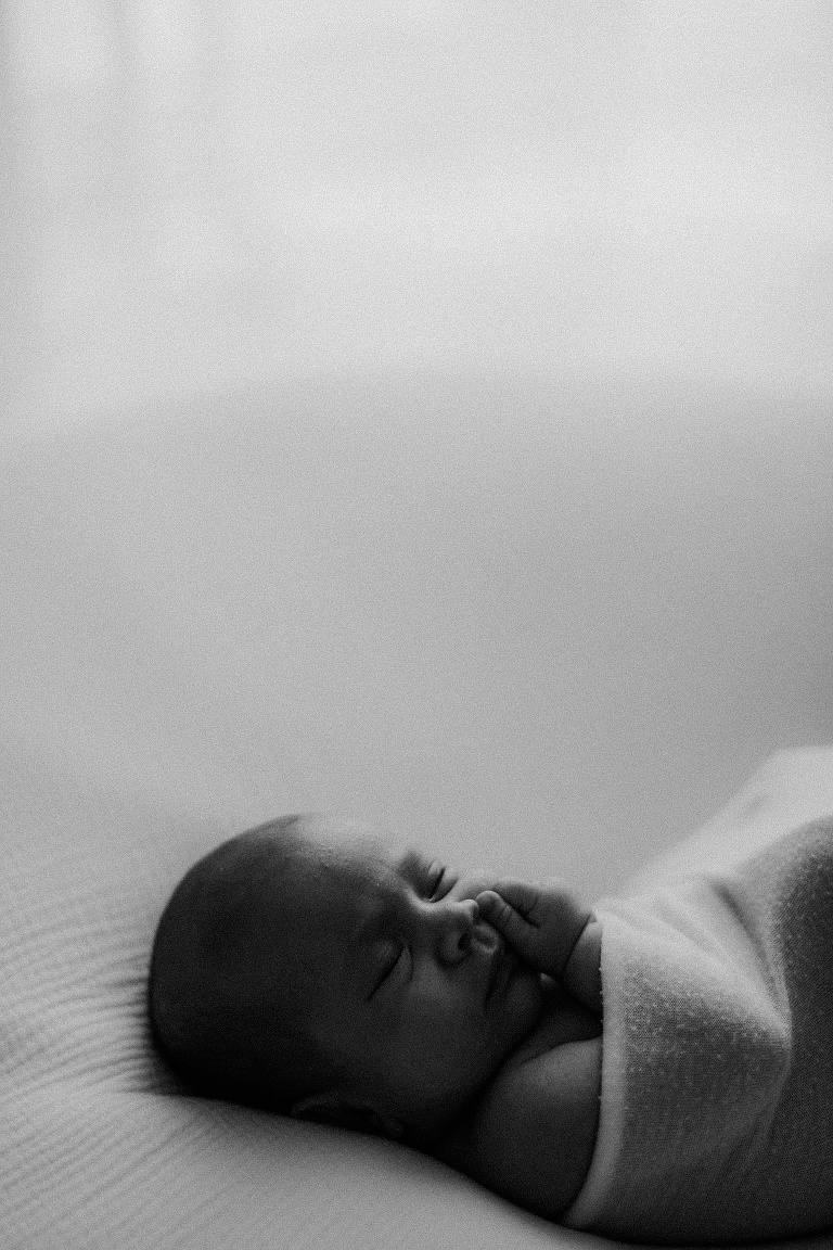 Familienbilder mit Baby Landshut 