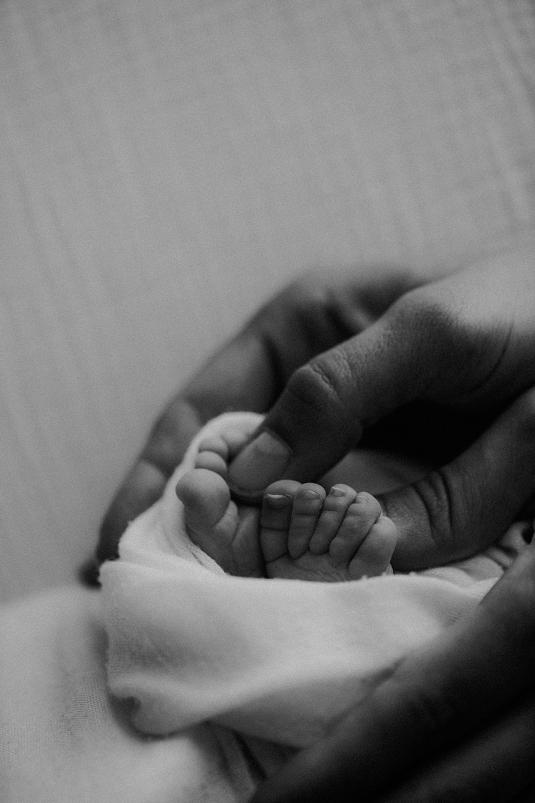 Familienbilder mit Baby Landshut 