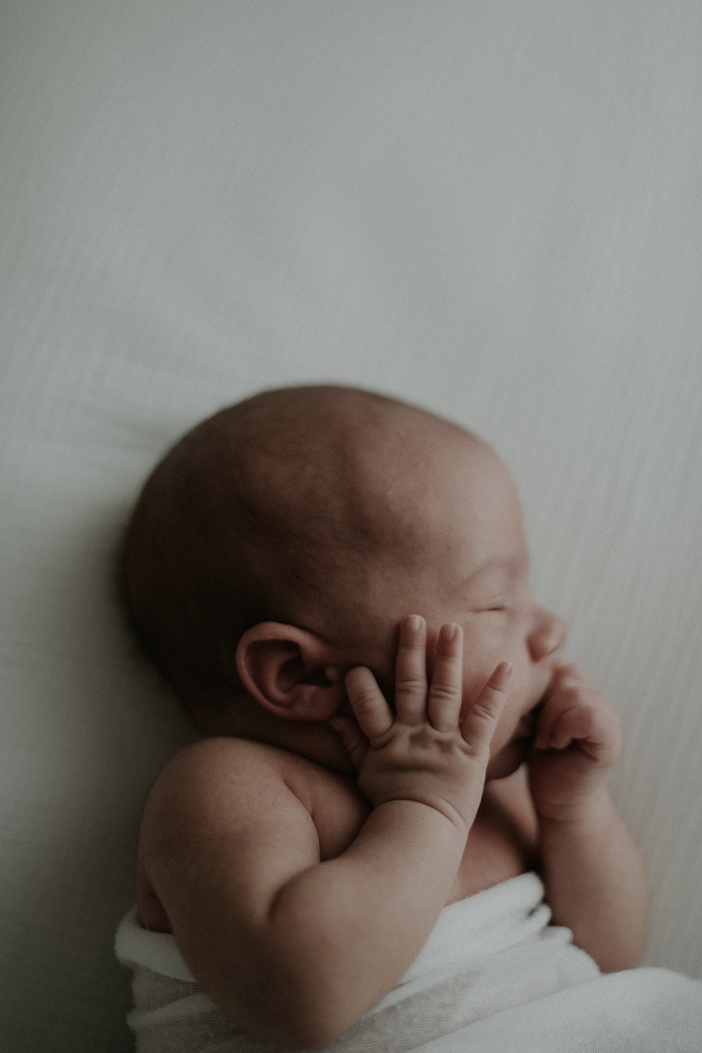 Familienbilder mit Baby Landshut 