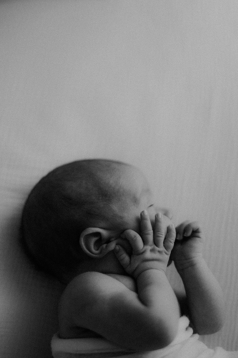 Familienbilder mit Baby Landshut 