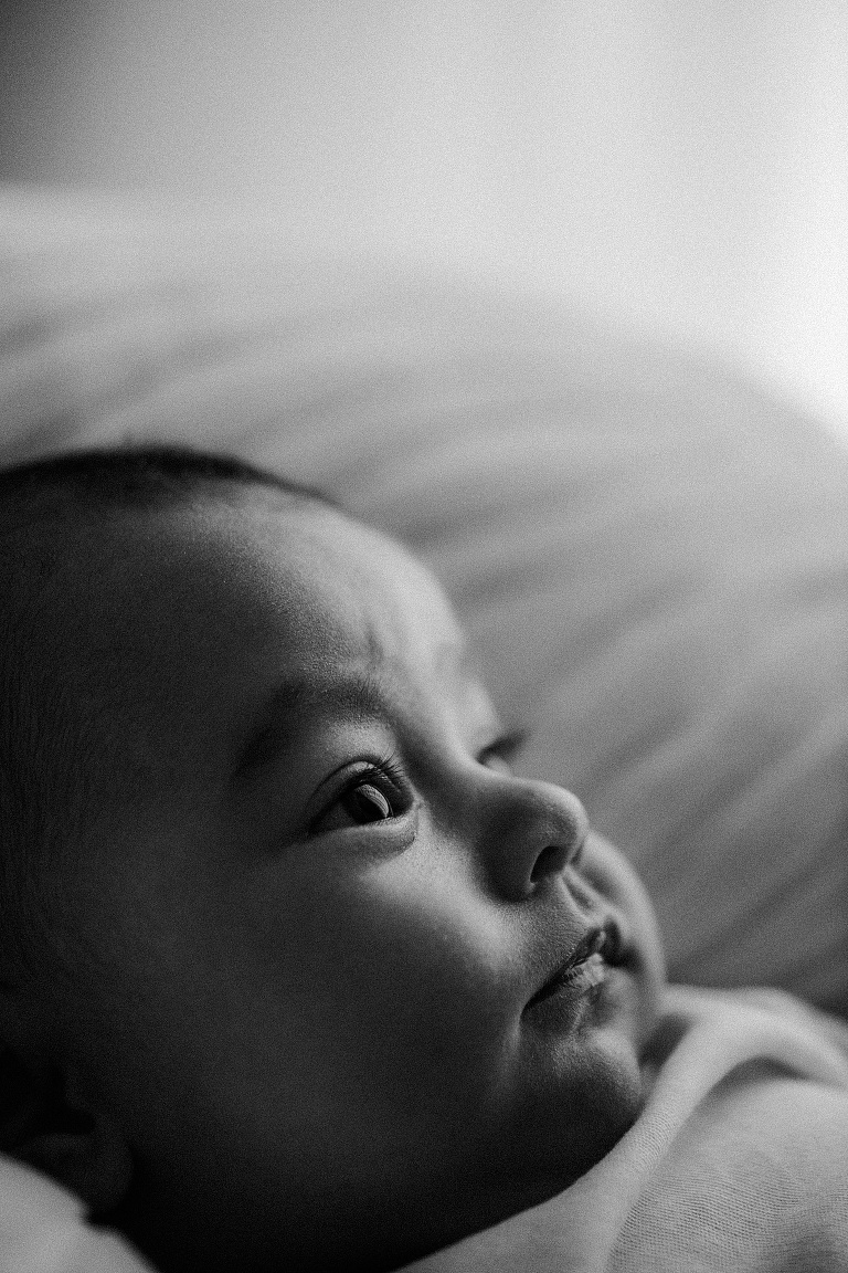 Babybilder Altdorf , Essenbach, Vilsbiburg sevi Koch 