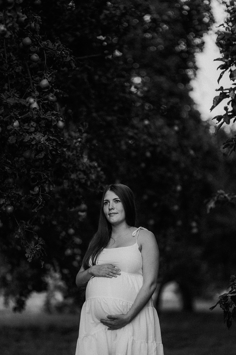 Babybauchfotos Nördlingen