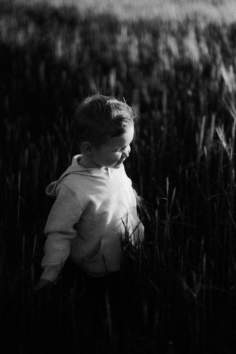 Neugeborenenfotos Dinkelsbühl