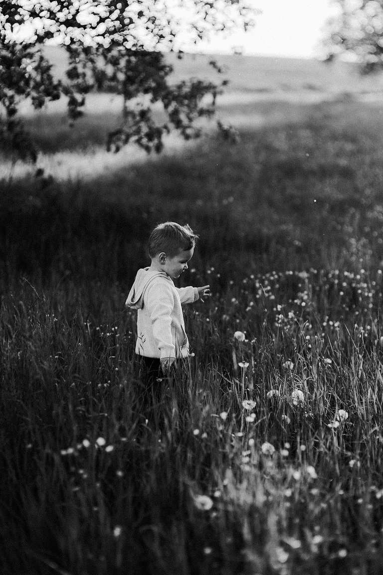 Neugeborenenfotos Dinkelsbühl