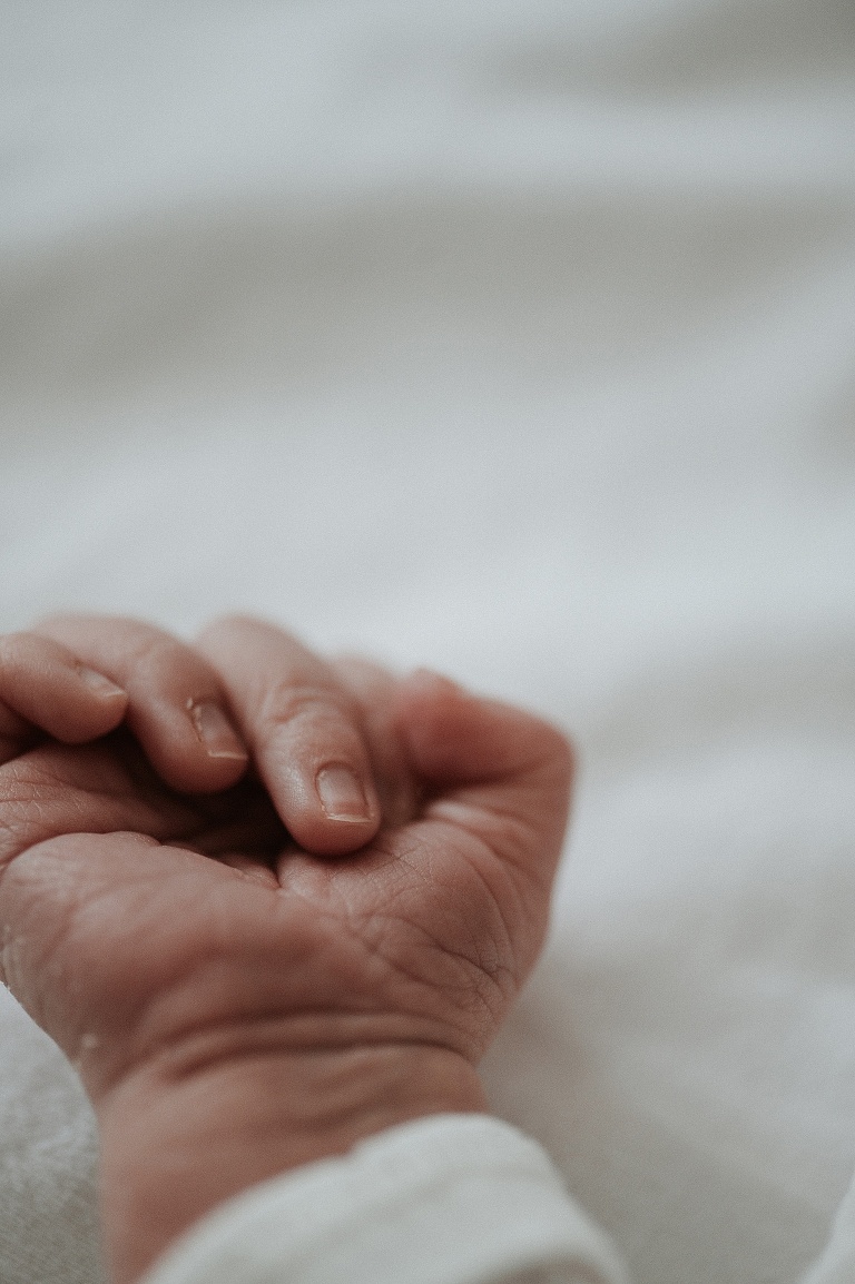 Babyfotograf Ellwangen, Dinkelsbühl 