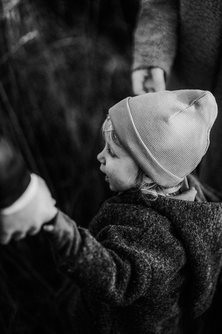 Familienbilder Tannhausen